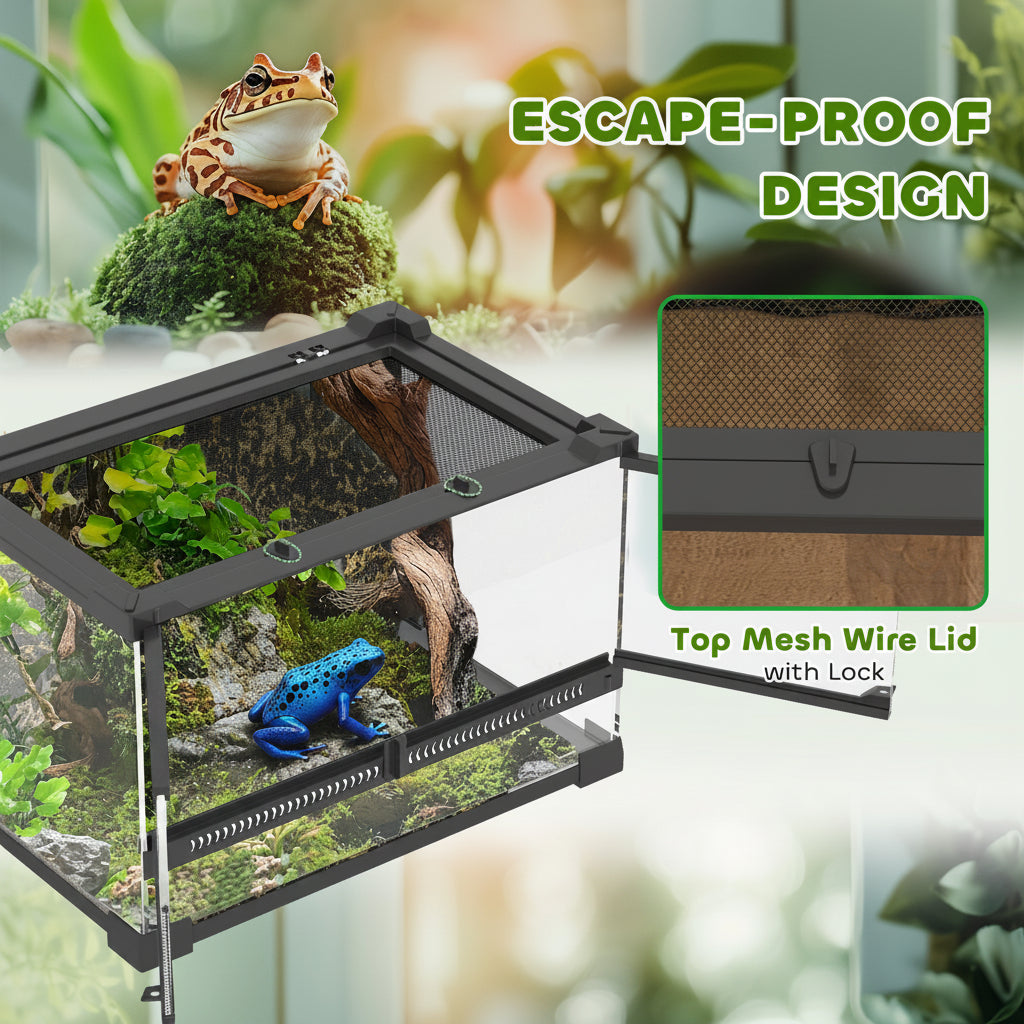 Glass Terrarium – 360° Clear-View