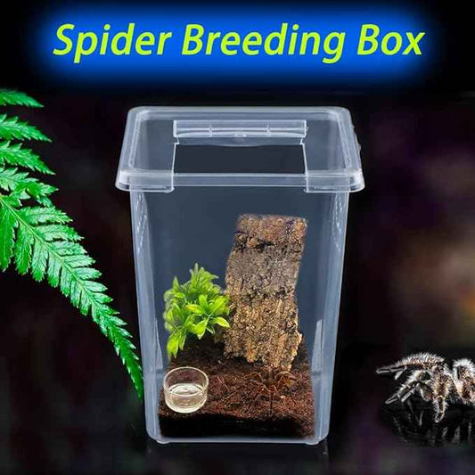 10 Pack Small and Large Spider Terrariums Breeding Box Small Reptile Hatching Container Acrylic Feeding Box for Arboreal Spider Tarantula, Small Mantis, Insects
