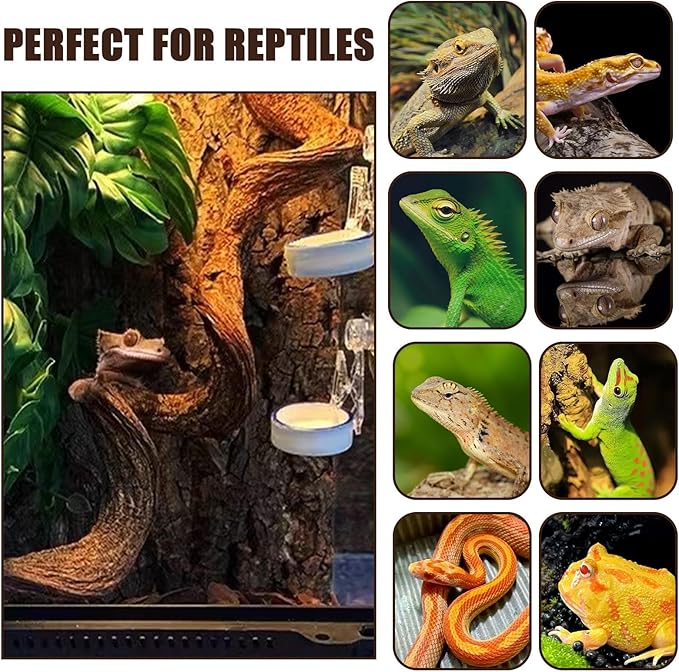 Reptile Climbing Branches Decor for spiders, snakes, geckos, frogs, lizards- 3 Pcs (L)