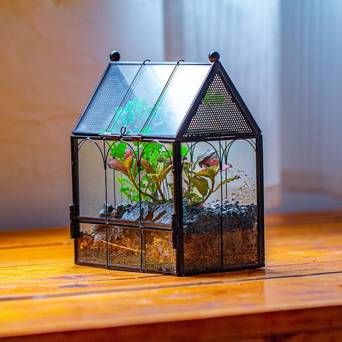 Small Glass Spider Enclosure with Mesh for Jumping Spiders, Snails, Micro House Shaped Front Opening Plant Terrarium, 5.8" x 3.8" x 7" (Terrarium Only)