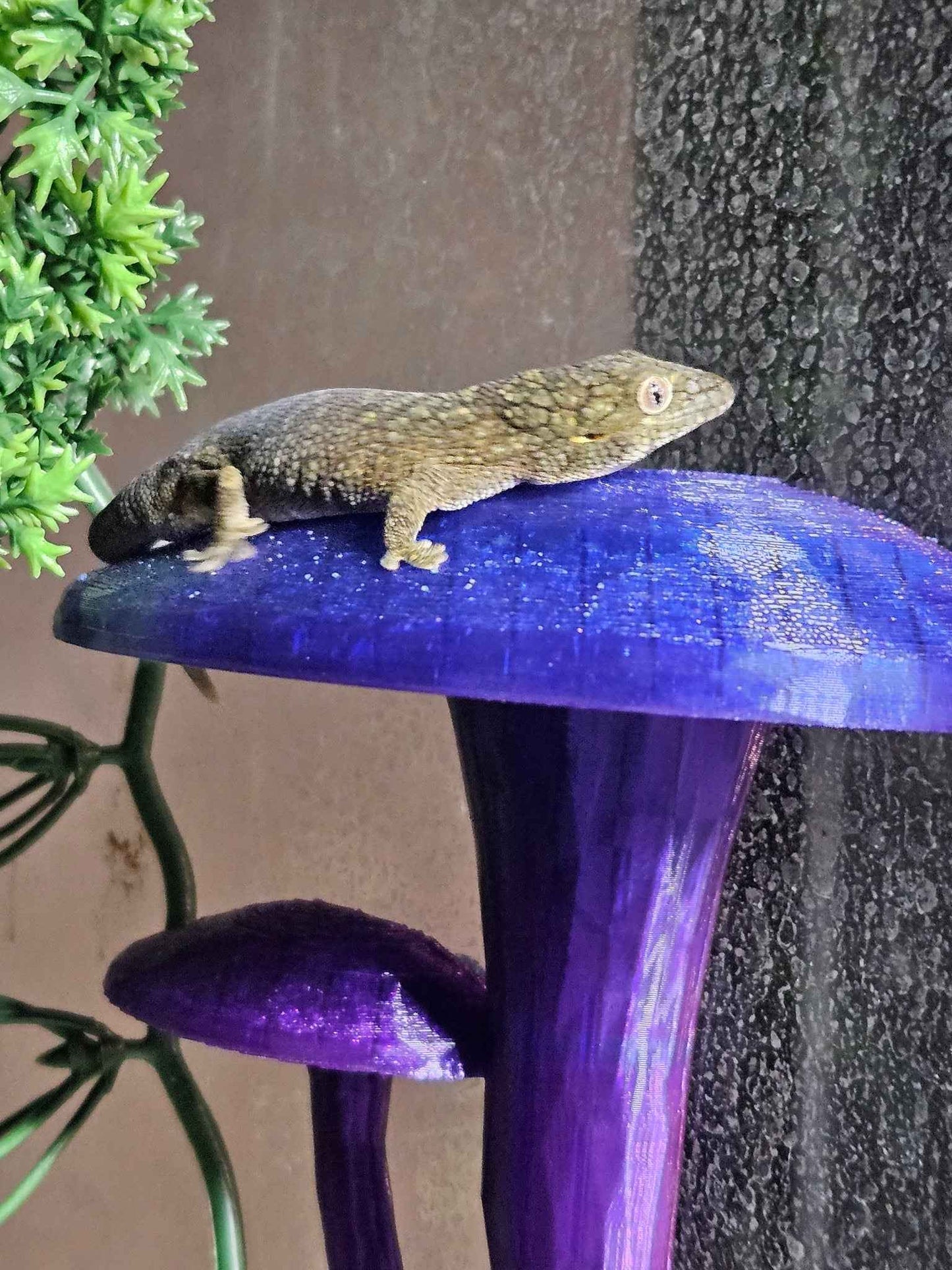 Decorative Mushroom