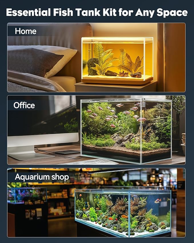 Pawfly 5 Gallon Fish Tank Ultra Clear Rimless Glass Aquarium Kit with Extendable LED Light Internal Filter Magnetic Brush & Thermometer Stickers Rectangular Glass Fish Tank Kit for Bettas, Shrimp, Plants