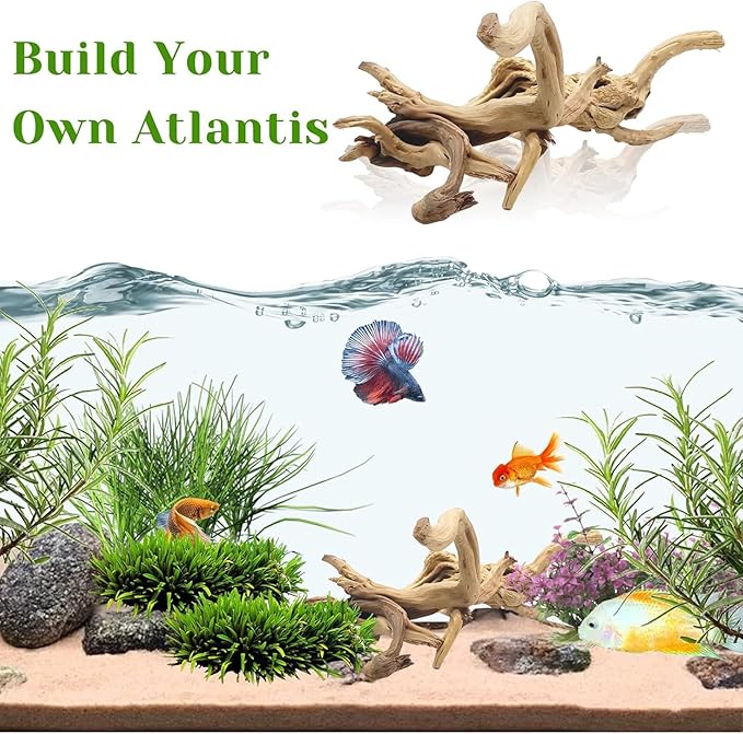 Driftwood, 11-13 inch Branches for Terrariums, Aquarium Decoration Pack of 2
