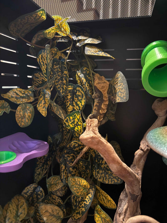 Gecko Tube Hide
