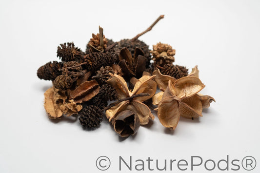 Mini/Nano Seed Pod Variety Pack - 37 Pieces