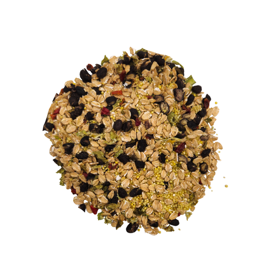 Cajun Bean - Feast on the Fly