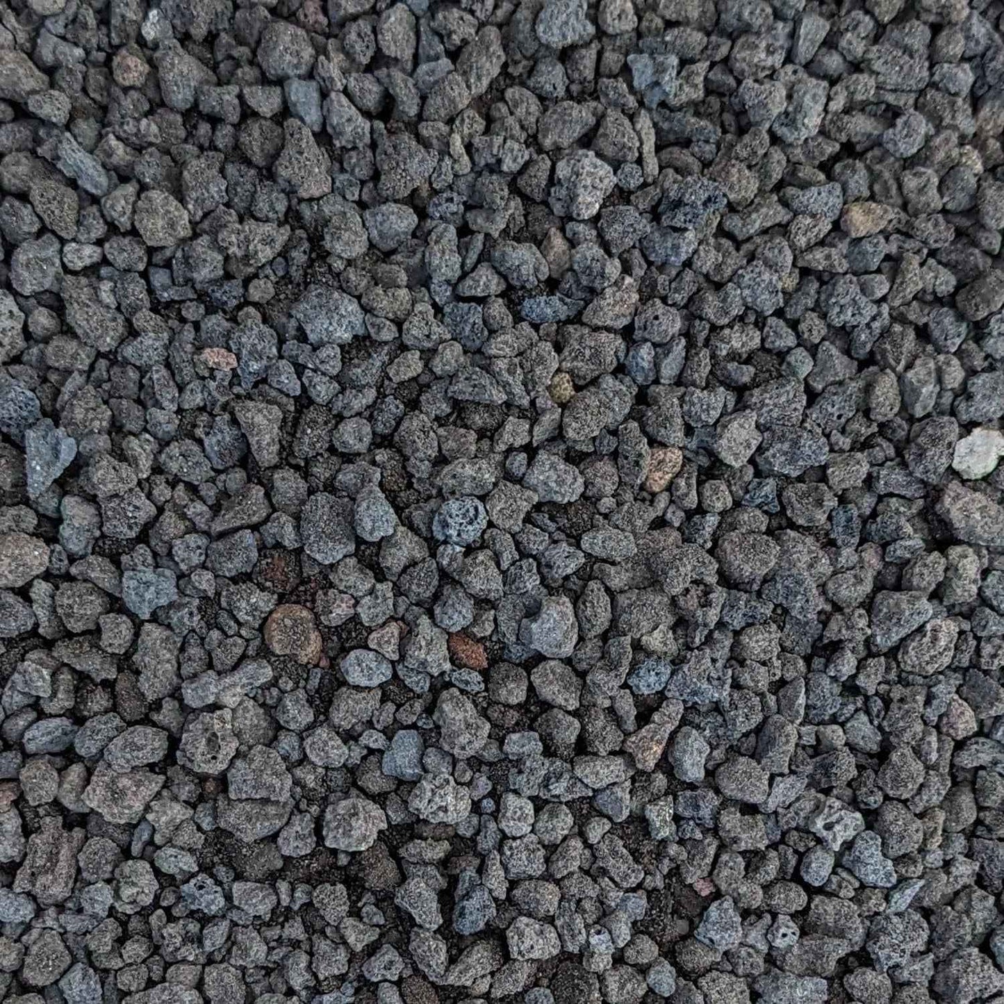 Black Lava Rocks 1/4" Natural Horticultural Volcanic Rock (Basalt) for Drainage and Decoration