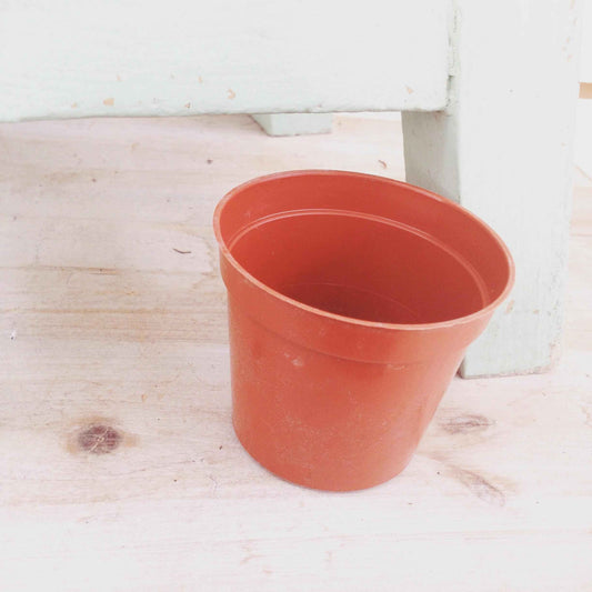 2 Inch Growing Pot