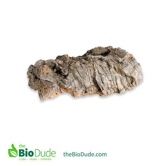 Cork Bark Flats for Reptiles, Amphibians, Plants and Invertebrates