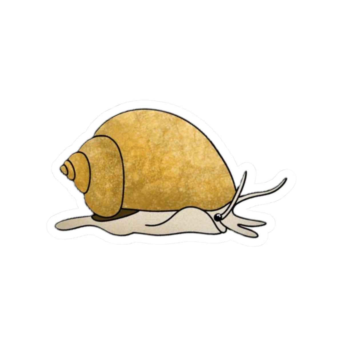 Mystery Snail