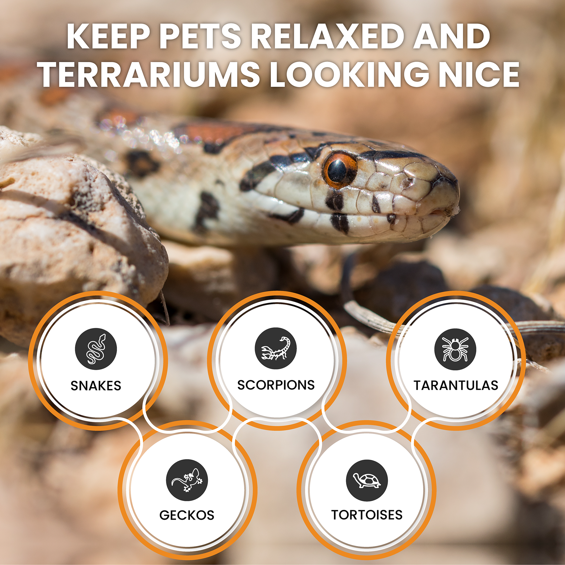 ReptiEarth Fine Coconut Fiber Mix; Ready to Use - Scholarly Exotics LLC