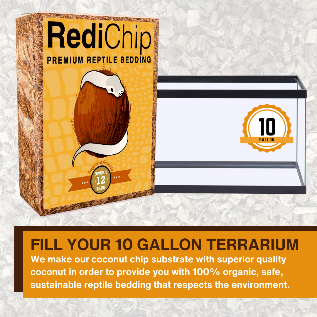 RediChip Premium Medium Sized Coconut Chips; Ready to Use - Scholarly Exotics LLC