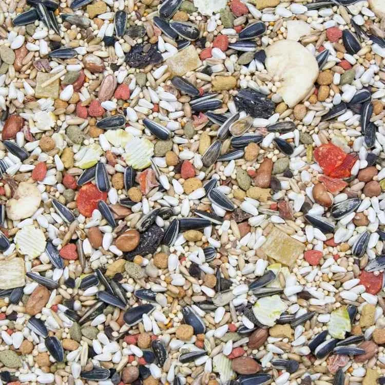 Higgins Vita Seed Conure & Lovebird Food 2.5 lb Premium Seed Blend Probiotics DHA