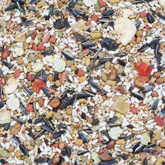 Higgins Vita Seed Conure & Lovebird Food 2.5 lb Premium Seed Blend Probiotics DHA
