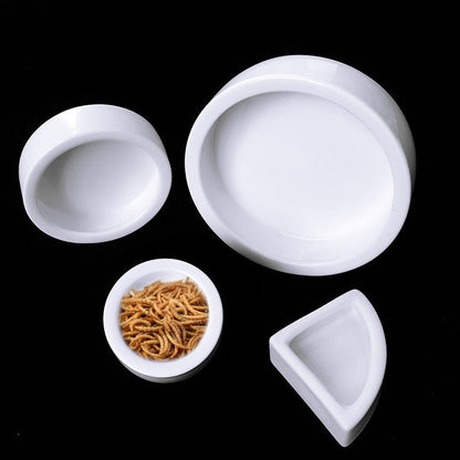 Escape-Proof Ceramic Dish for Worms & Live Feeders