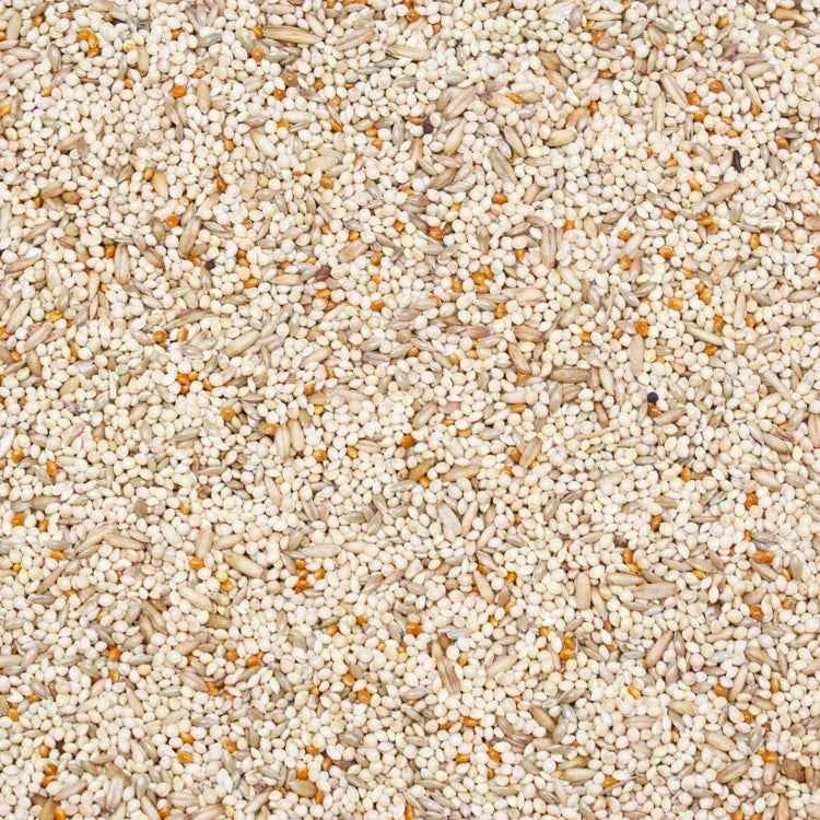 Higgings Supreme Finch Food 50 lbs. Natural Seed Blend for Healthy Birds