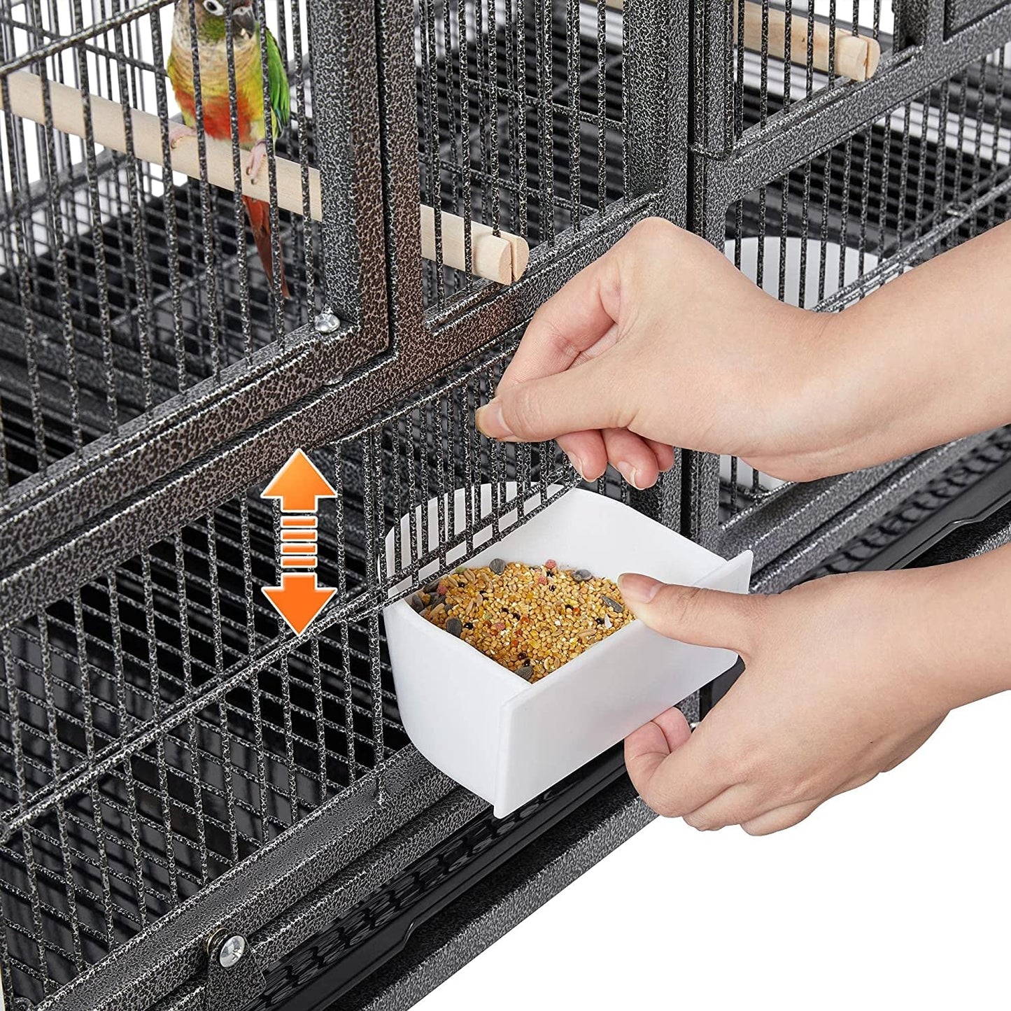 Divided Breeder for Birds