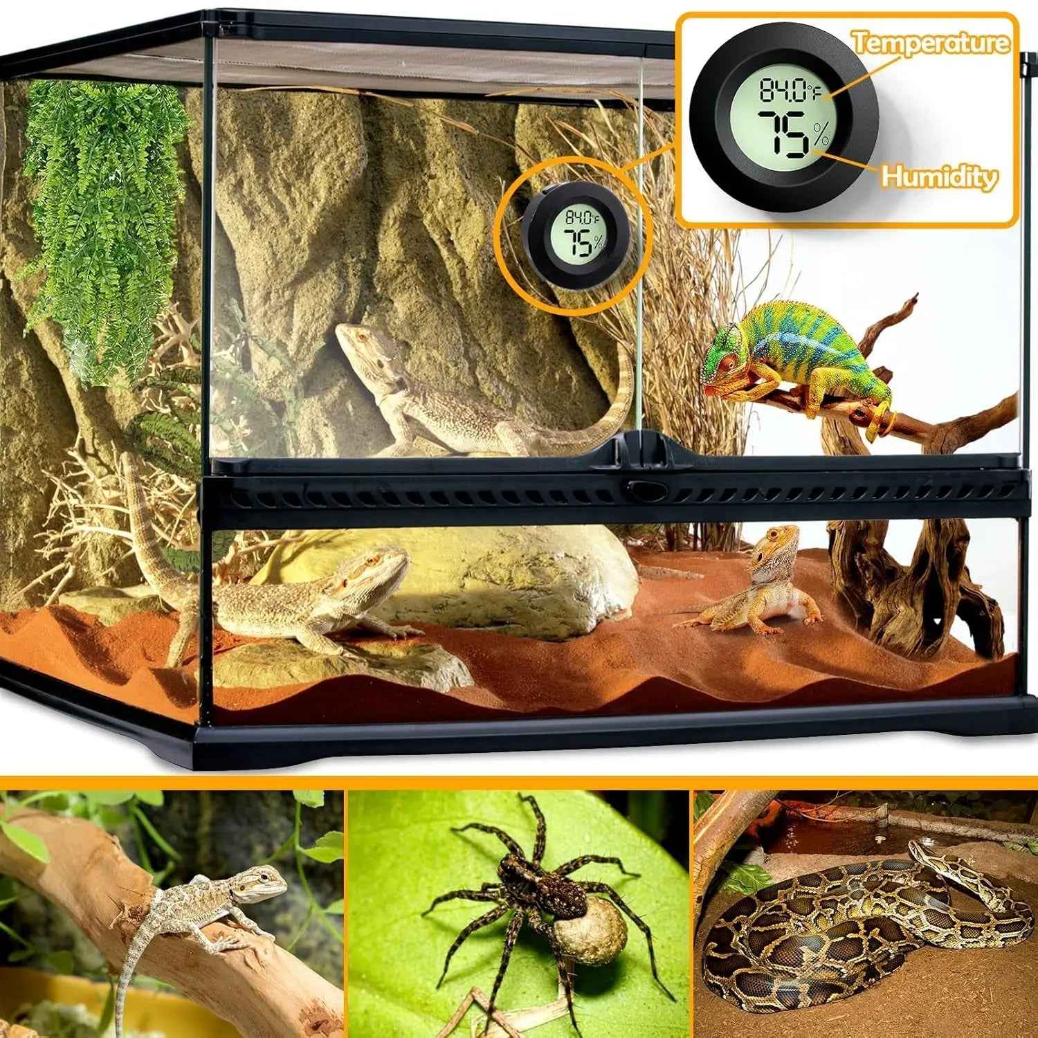 2 Pack Reptile Thermometer Hygrometer Digital Tank Gauge Accurate