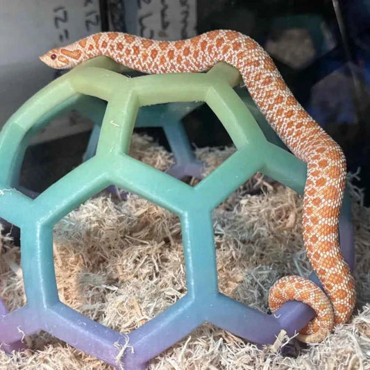 Climbing Enrichment Toy
