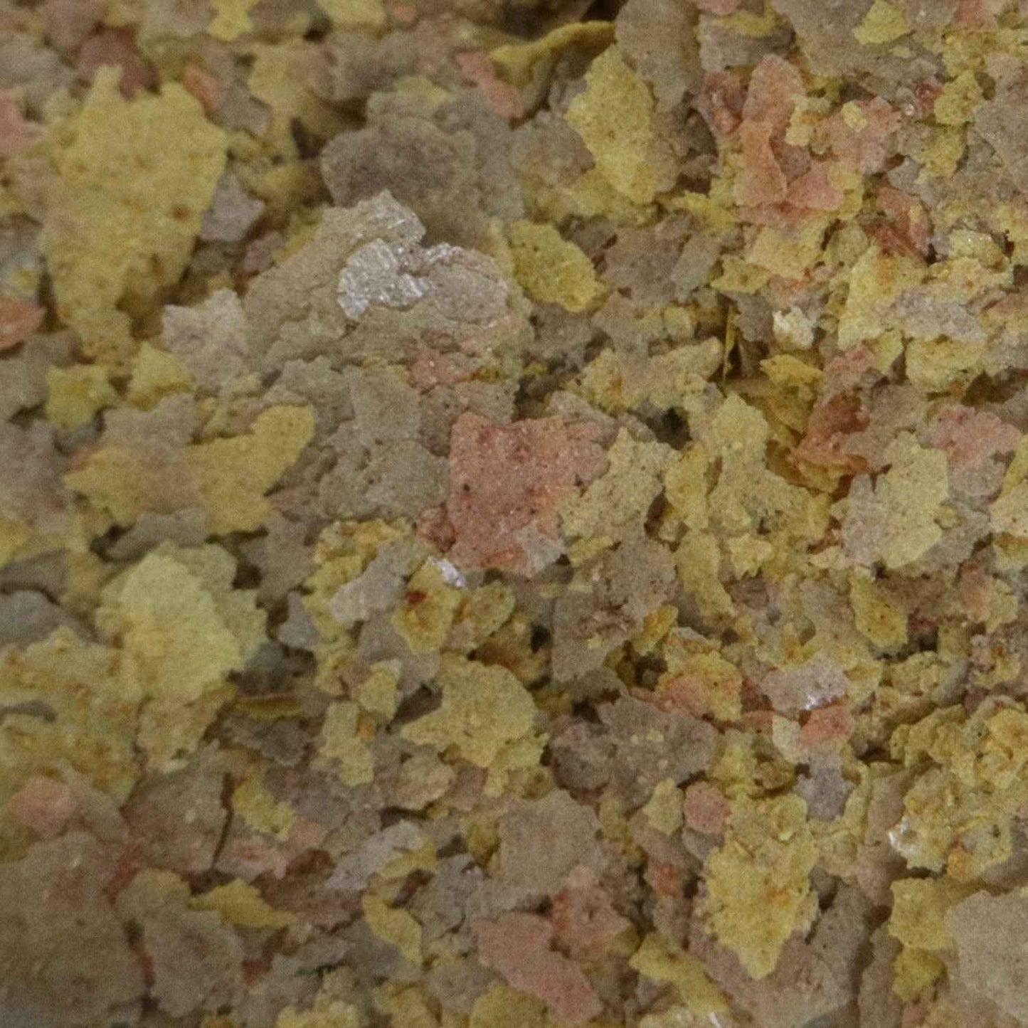 API 2.1-OUNCE TROPICAL GREENS FLAKES