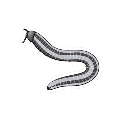 Scholarly Exotics Maui Skunk Striped Millipede Sticker