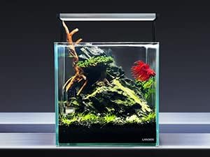 LANDEN Dark SEIRYU Stones Natural Rocks (17lbs, 3~11 inches,7-8pcs) for Aquarium, Paludarium, Terrariums, Landscaping Rocks, Decorative Aquarium Rocks