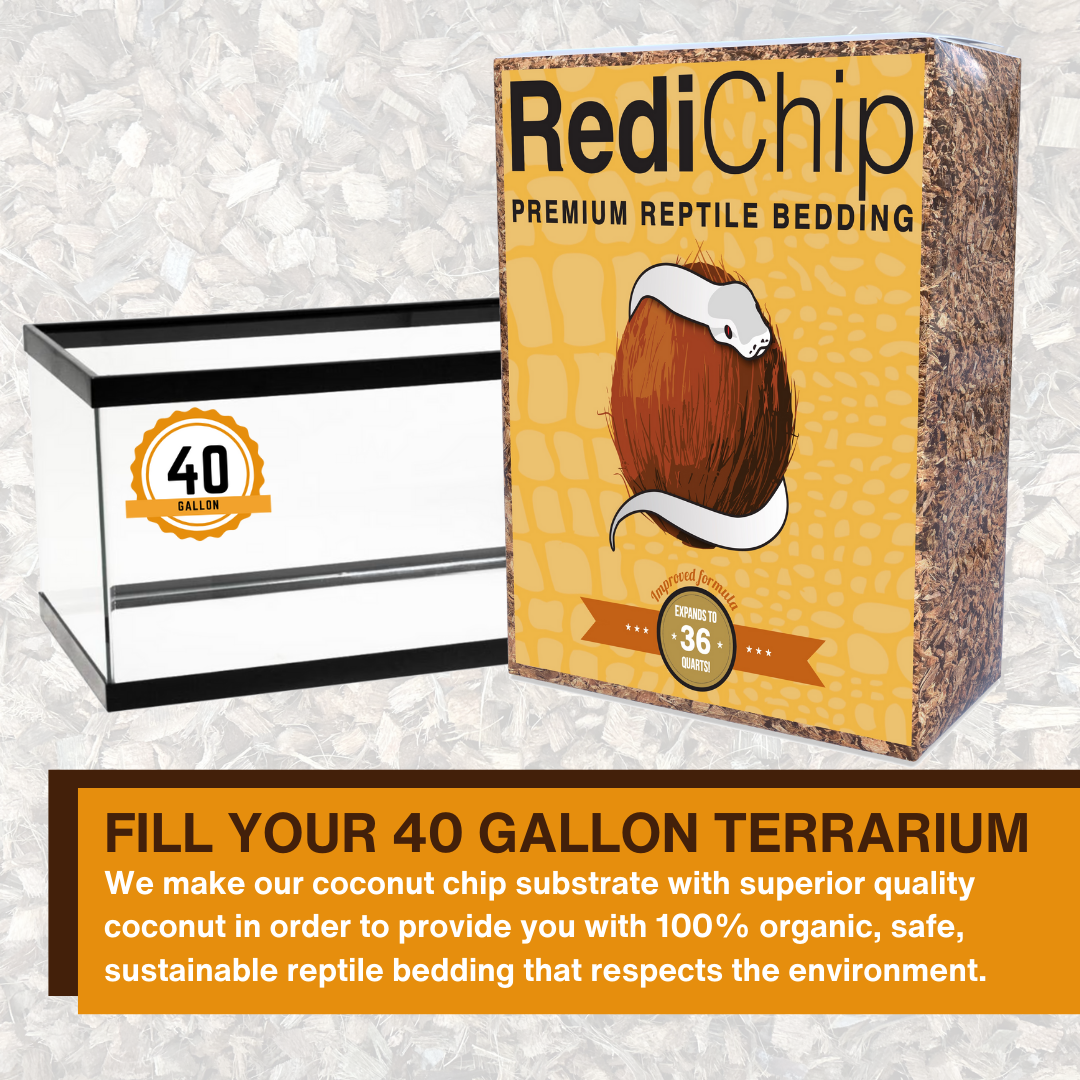 RediChip Premium Medium Sized Coconut Chips; Ready to Use - Scholarly Exotics LLC