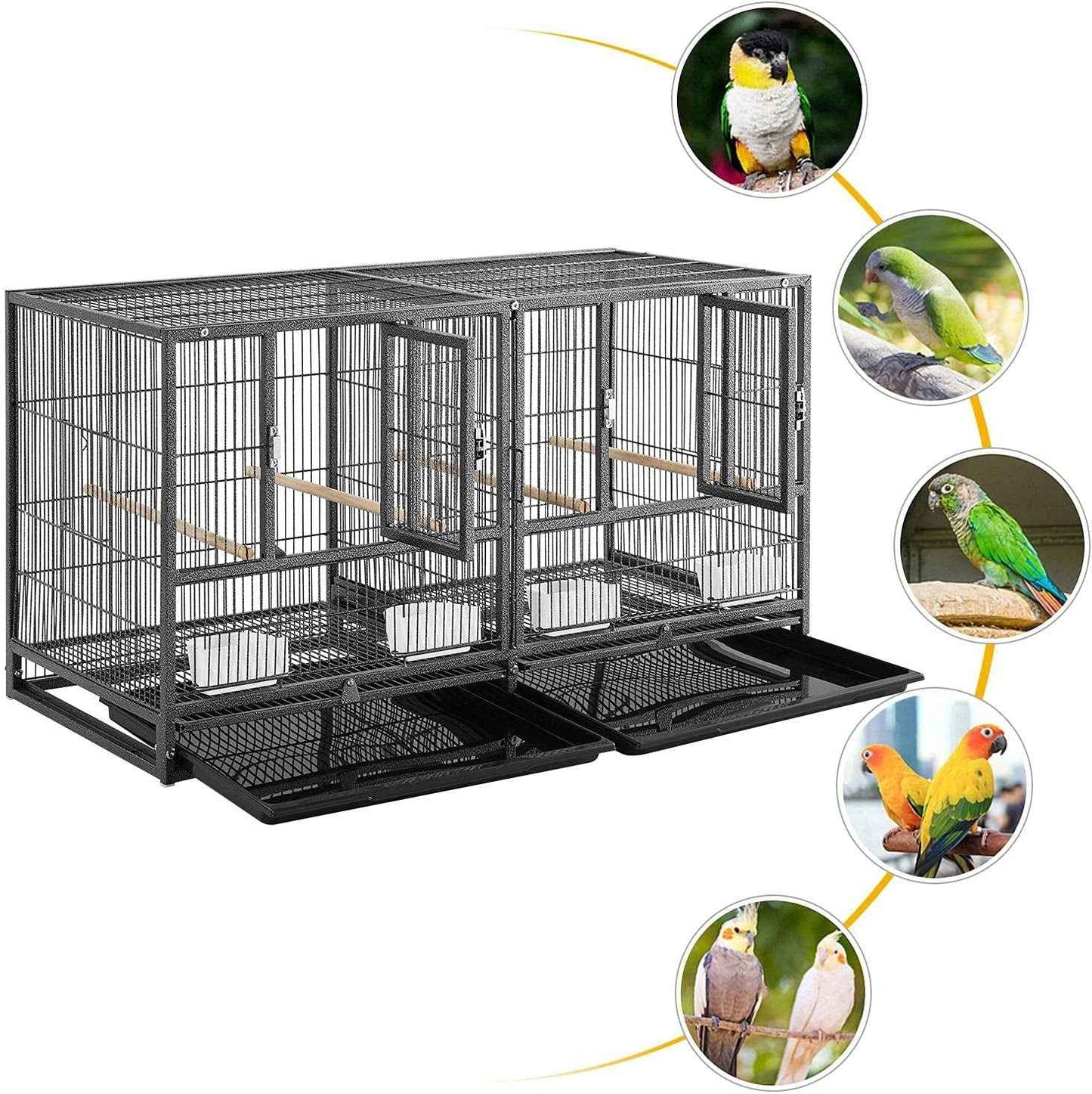 Divided Breeder for Birds