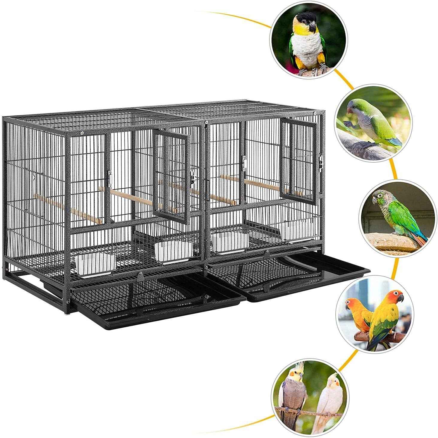 Divided Breeder for Birds