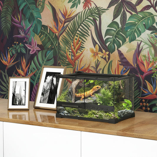 Glass Terrarium – 360° Clear-View