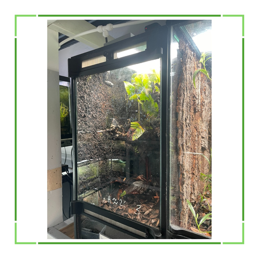 Thrive Ecosystems Aqueon Aquarium Conversion Kit - Scholarly Exotics LLC