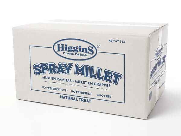 Higgins Spray Millet Bird Treats Non-GMO Natural Foraging All Birds 5lbs.