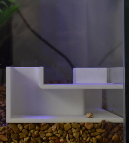 Aquarium Underground Tunnel Corner