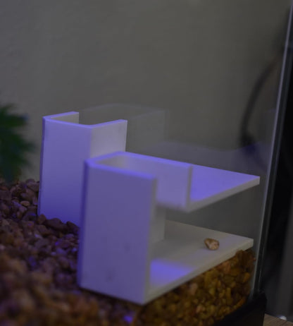 Aquarium Underground Tunnel Corner