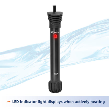 20 Gallon aquarium Starter Kit with LED Lighting