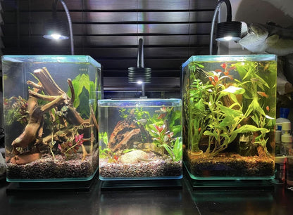 Remote Control LED Aquarium Light