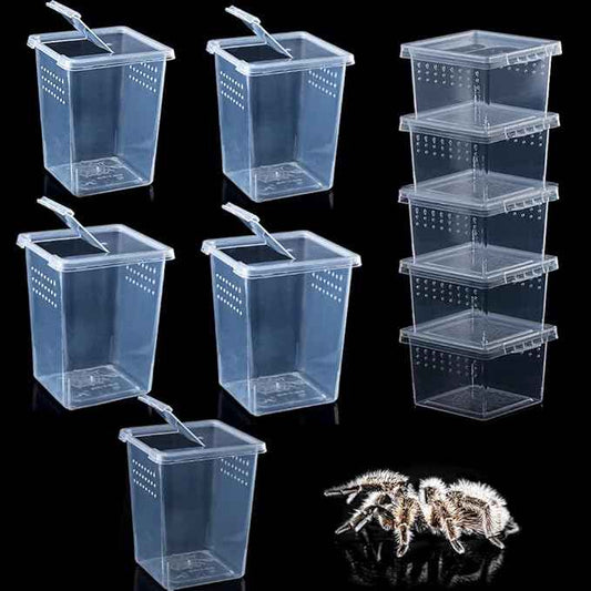10 Pack Small and Large Spider Terrariums Breeding Box Small Reptile Hatching Container Acrylic Feeding Box for Arboreal Spider Tarantula, Small Mantis, Insects
