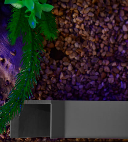 Aquarium Underground Tunnel Corner