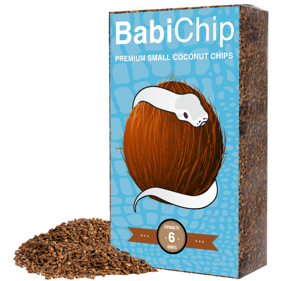 BabiChip Premium Small Sized Coconut Chips