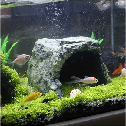 Reptile Rock Hide Cave Natural Resin Habitat for Lizards Turtles Fish