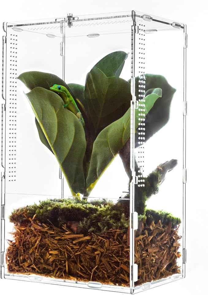 REPTI ZOO Large Tarantula Enclosure Spider Enclosure 14" X 8" X 6", 2 in 1 Acrylic Aboreal Breeding Box for Mantis Snail or Terrestrial Breeding Box for Cricket Jumping Spiders Tarantula