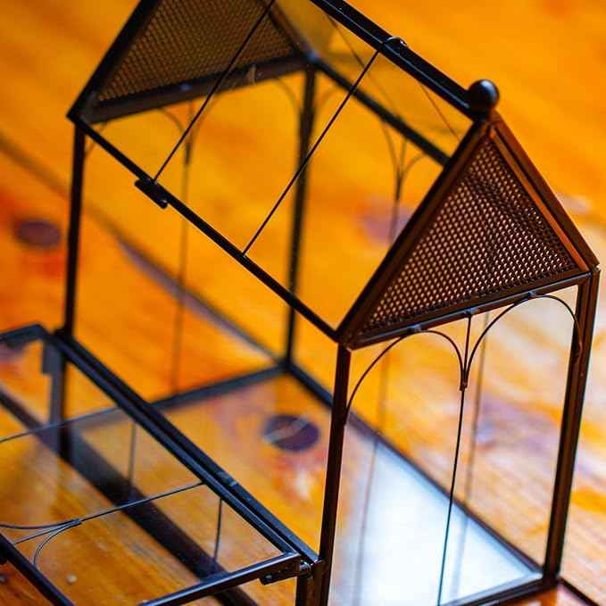 Small Glass Spider Enclosure with Mesh for Jumping Spiders, Snails, Micro House Shaped Front Opening Plant Terrarium, 5.8" x 3.8" x 7" (Terrarium Only)