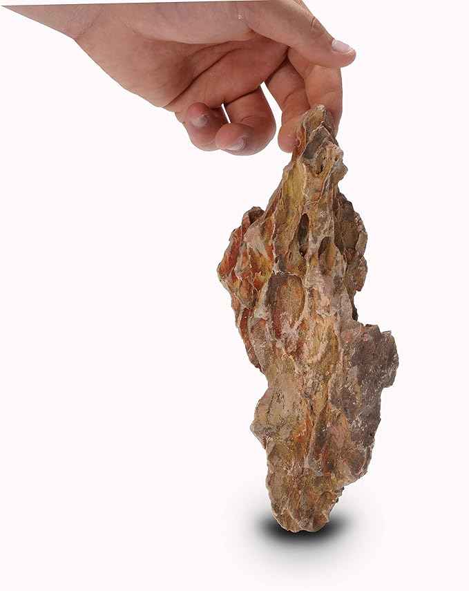 LANDEN Natural Dragon Stones (16lbs, 2~8 inches,7-8pcs) for Aquascaping Terrariums, Paludariums,Vivariums, Reptile and Amphibian Enclosures