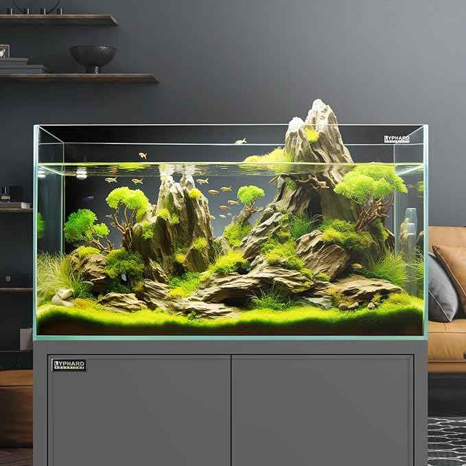 Tall Rimless Aquarium 3 Gallon with EVA Foam Leveling Mat