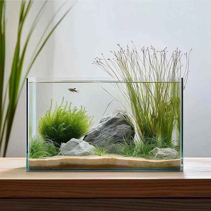 3 Gallon Fish Tank, Easy to Maintain Small Aquarium