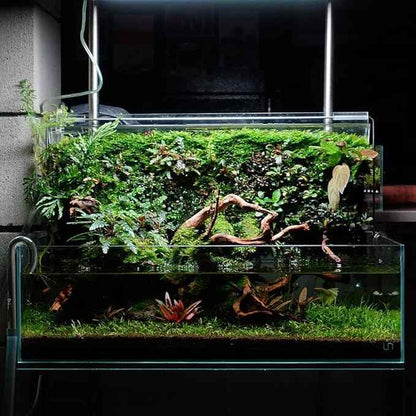 Ultum Nature Systems Controsoil - Freshwater Aqua Soil Substrate for Fish, Shrimp, Live Plant Propagation and Aquascaping - 6.8pH Low Ammonia, Volcanic Ash - Brown, Extra Fine (10 Liter | 20LB)