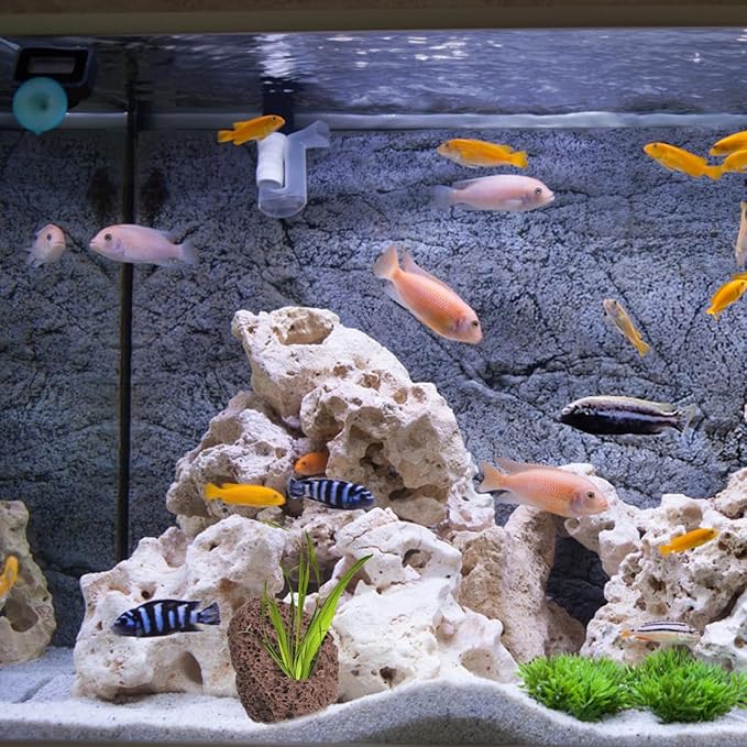 Lava Rock, 6PCS Aquarium Volcanic Stone Plant Fixer Ornaments, Double-Hole Fish Tank Rocks Ornament for Aquascaping, Fish Tank, Terrarium and Landscape Design