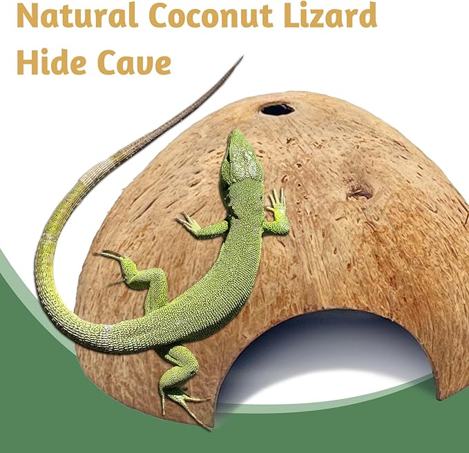 4 PCS Natural Coconut Reptile Hideouts for Frogs, Lizards, Spiders