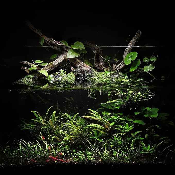 Ultum Nature Systems Controsoil - Freshwater Aqua Soil Substrate for Fish, Shrimp, Live Plant Propagation and Aquascaping - 6.8pH Low Ammonia, Volcanic Ash - Black, Extra Fine (10 Liter | 20LB)