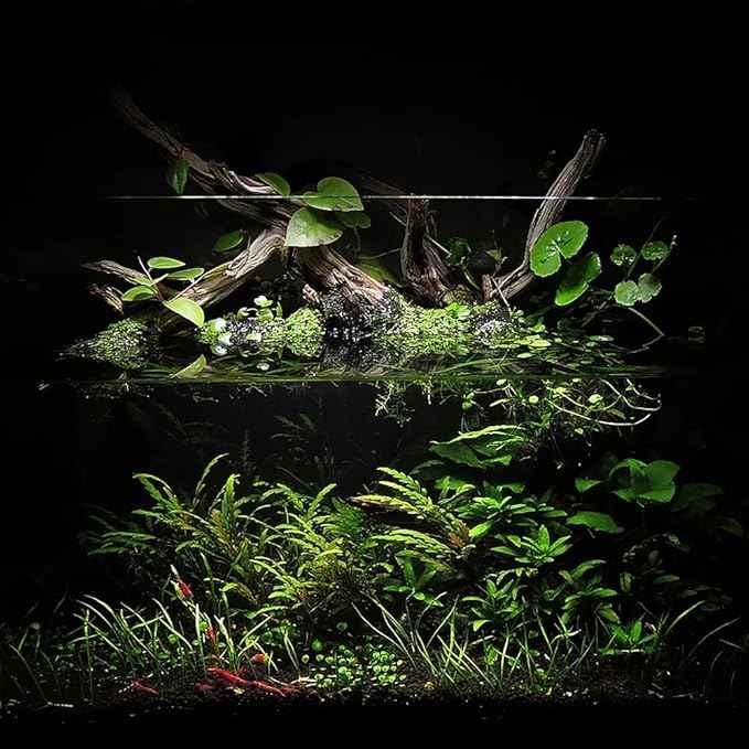 Ultum Nature Systems Controsoil - Freshwater Aqua Soil Substrate for Fish, Shrimp, Live Plant Propagation and Aquascaping - 6.8pH Low Ammonia, Volcanic Ash - Black, Normal (1 Liter | 2LB)